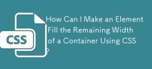 How Can I Make an Element Fill the Remaining Width of a Container Using CSS?