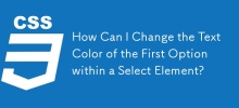 How Can I Change the Text Color of the First Option within a Select Element?