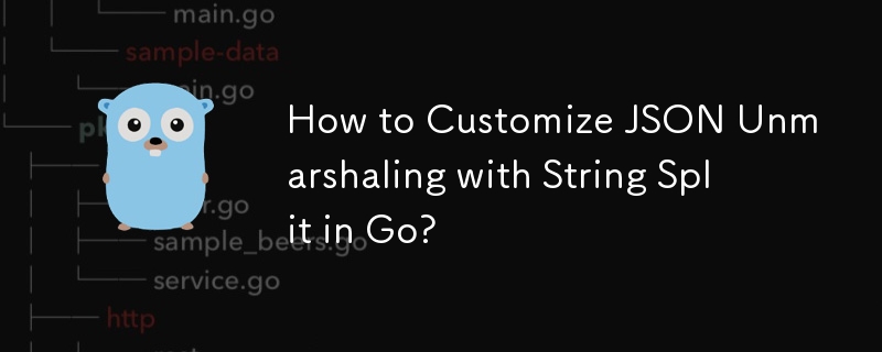 Comment personnaliser le démarshaling JSON avec String Split dans Go ?