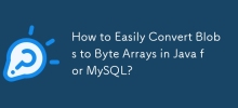 Bagaimana dengan Mudah Menukar Gumpalan kepada Tatasusunan Byte dalam Java untuk MySQL?