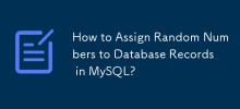 Bagaimana untuk menetapkan Nombor Rawak ke Rekod Pangkalan Data dalam MySQL?