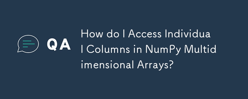 How do I Access Individual Columns in NumPy Multidimensional Arrays ...