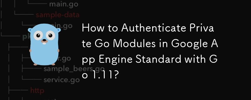 Comment authentifier les modules Go privés dans Google App Engine Standard avec Go 1.11 ?