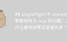 ## singleflight 中 shared 参数始终为 true 的问题：为什么缓存结果总是被共享？