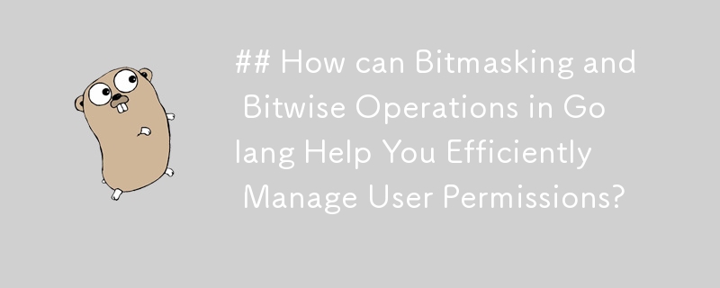 Golang中的位掩码和按位运算如何帮助您高效管理用户权限？