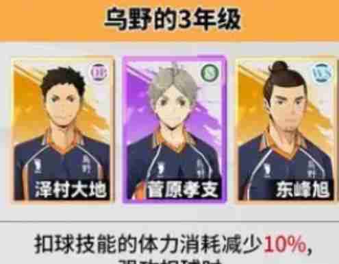《排球少年：新的征程》乌野豪华阵容队搭配推荐