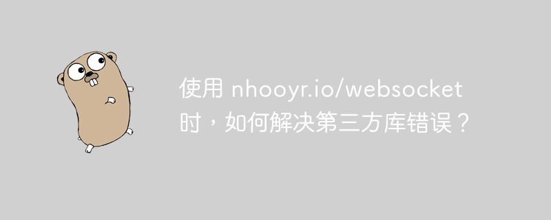 使用 nhooyr.io/websocket 时，如何解决第三方库错误？-小浪资源网