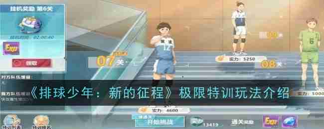 《排球少年：新的征程》极限特训玩法介绍