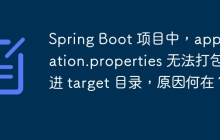 Spring Boot 项目中，application.properties 无法打包进 target 目录，原因何在？