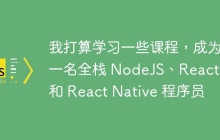 我打算学习一些课程，成为一名全栈 NodeJS、ReactJS 和 React Native 程序员