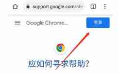 google怎么登录？-google登录的方法 - php中文网