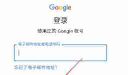 google怎么登录？-google登录的方法 - php中文网