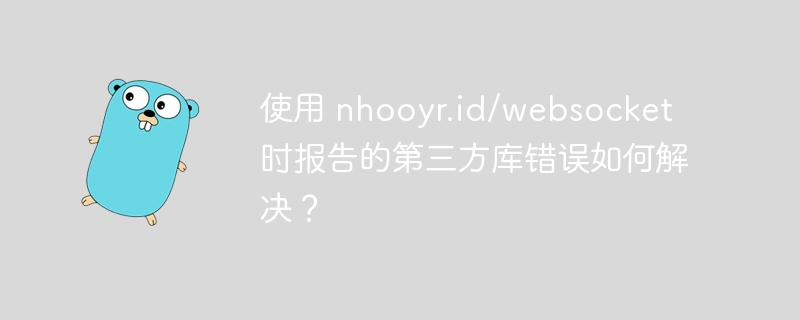 使用 nhooyr.id/websocket 时报告的第三方库错误如何解决？-小浪资源网