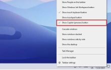 Win10任务栏怎么禁用微软Copilot? 三步轻松禁用微软Copilot的技巧