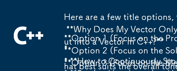 以下に、質問に基づいて記事の内容を反映するように調整されたいくつかのタイトル オプションを示します。

オプション 1 (問題に焦点を当てる):
* 私のベクトルが最初のユーザー入力のみを保存するのはなぜですか?

オプション 2 (フォーカス