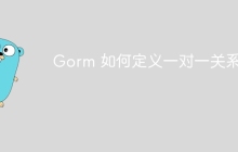 Gorm 如何定义一对一关系？