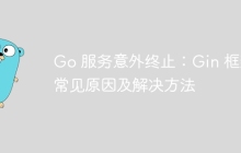 Go 服务意外终止：Gin 框架常见原因及解决方法
