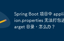 Spring Boot 项目中 application.properties 无法打包进 target 目录，怎么办？