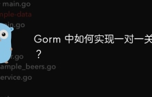 Gorm 中如何实现一对一关联？