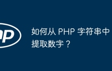 如何从 PHP 字符串中提取数字?