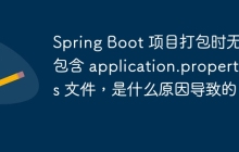 Spring Boot 项目打包时无法包含 application.properties 文件，是什么原因导致的？