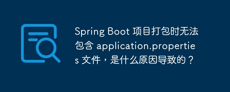 spring boot 项目打包时无法包含 application.properties 文件，是什么原因导致的？