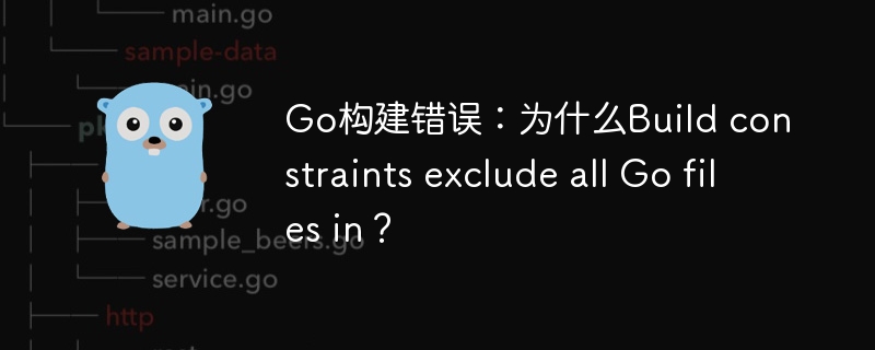 go构建错误：为什么build constraints exclude all go files in？