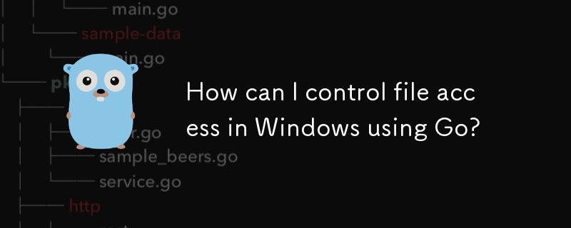 如何使用 Go 控制 Windows 中的文件访问？