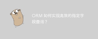 ORM 如何实现高效的指定字段查询？