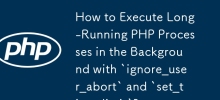 Comment exécuter des processus PHP de longue durée en arrière-plan avec `ignore_user_abort` et `set_time_limit` ?