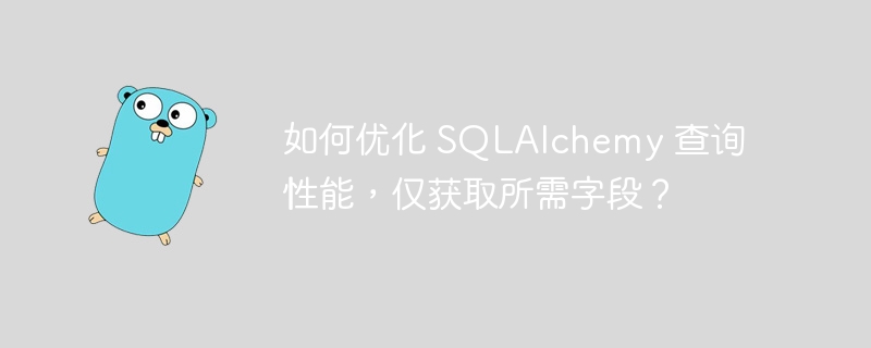 如何优化 sqlalchemy 查询性能，仅获取所需字段？