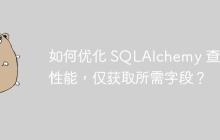 如何优化 SQLAlchemy 查询性能，仅获取所需字段？
