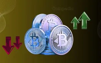 Bitcoin Pre-Election Rollercoaster: What to Expect?