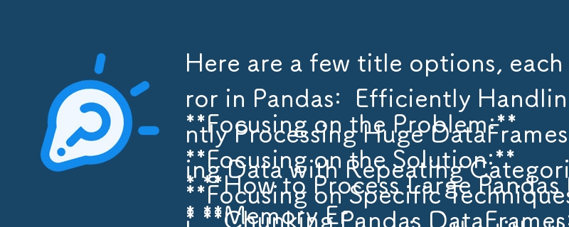 以下是一些标题选项，每个标题选项都强调解决方案的不同方面：

聚焦问题：

* 如何在没有内存错误的情况下处理大型 Pandas DataFrame？
* Pandas 中的内存错误：