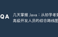 几天掌握 Java：从初学者到高级开发人员的综合路线图