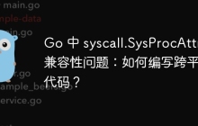 Go 中 syscall.SysProcAttr 兼容性问题：如何编写跨平台代码？