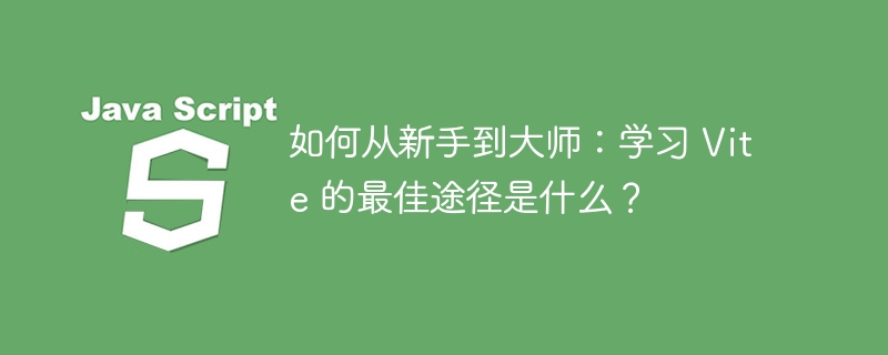 如何从新手到大师：学习 vite 的最佳途径是什么？