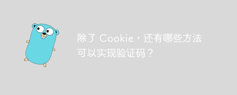 除了 cookie，还有哪些方法可以实现验证码？