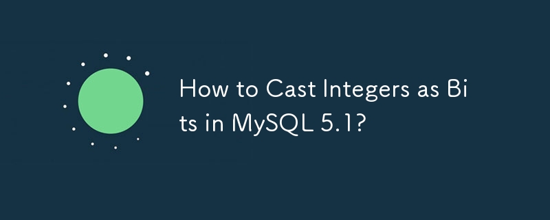 Wie wandelt man in MySQL 5.1 Ganzzahlen in Bits um?