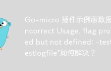 Go-micro 插件示例函数报错“Incorrect Usage. flag provided but not defined: -test.testlogfile”如何解决？