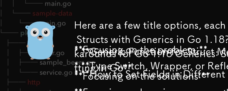 다음은 기사의 다양한 측면을 강조하는 몇 가지 제목 옵션입니다.

문제에 집중하기:

* Go 1.18에서 제네릭을 사용하여 다양한 Firebase 메시지 구조의 필드를 설정하는 방법은 무엇입니까?
* 진