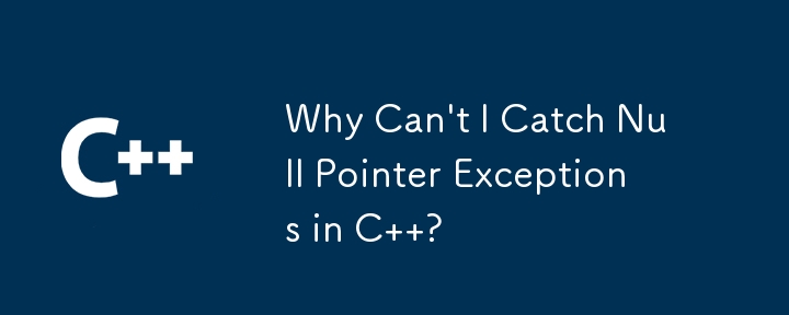 Why Can\'t I Catch Null Pointer Exceptions in C  ?