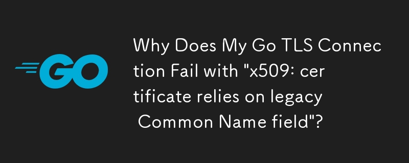 Warum schlägt meine Go-TLS-Verbindung fehl mit „x509: Zertifikat basiert auf altem Common Name-Feld“?