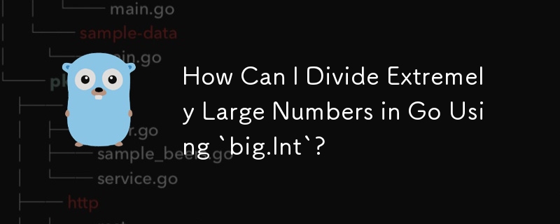 Wie kann ich in Go mit „big.Int“ extrem große Zahlen dividieren?