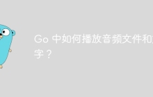Go 中如何播放音频文件和文字？