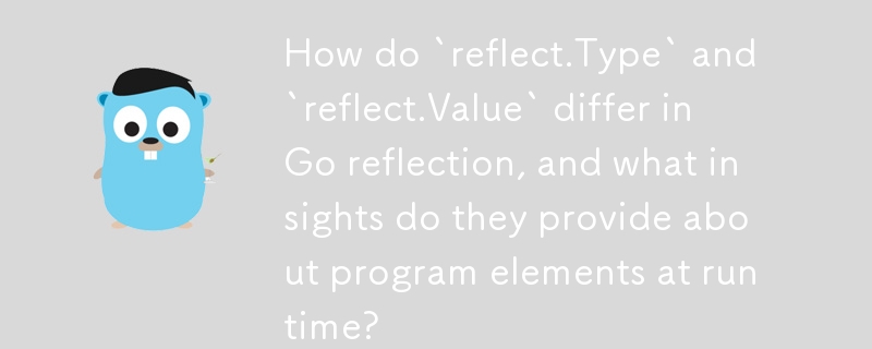 Go 리플렉션에서 `reflect.Type`과 `reflect.Value`는 어떻게 다르며 런타임 시 프로그램 요소에 대해 어떤 통찰력을 제공합니까?