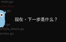 现在，下一步是什么？