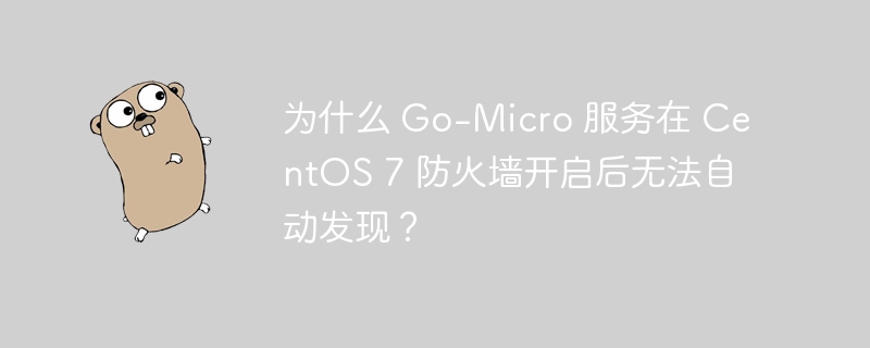 为什么 go-micro 服务在 centos 7 防火墙开启后无法自动发现?