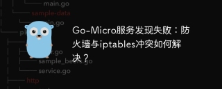 go-micro服务发现失败:防火墙与iptables冲突如何解决?