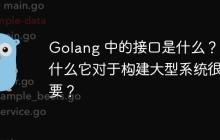 Golang 中的接口是什么？为什么它对于构建大型系统很重要？